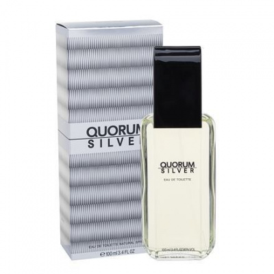 Antonio Puig Quorum Silver 100 ml toaletní voda pro muže