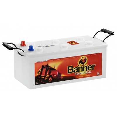 BANNER - Buffalo Bull 12V/100Ah 600A (600 25) (Nákladní a užitkové vozy 12V/100Ah 600A)