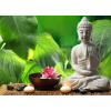 WEBLUX Fototapeta vliesová Buddha in meditation - 68464506 Buddha v meditaci, 200 x 144 cm