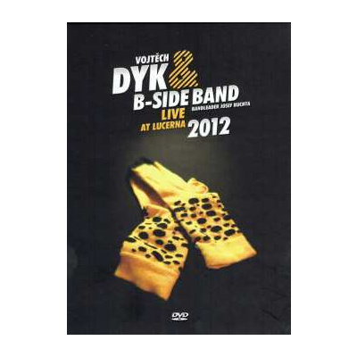 DVD Vojtěch Dyk: Live At Lucerna 2012