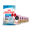 Royal Canin Giant Puppy 15kg + Koema Junior mix 3 příchutí 6x400g