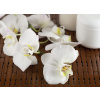 WEBLUX Fototapeta vliesová Face cream and white orchid on a bamboo mate - 15837732 Krém na obličej a bílá orchidej na bambusové kamarádce, 100 x 73 cm