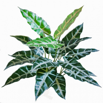 ILA Umělá rostlina Taro Bush (45cm)