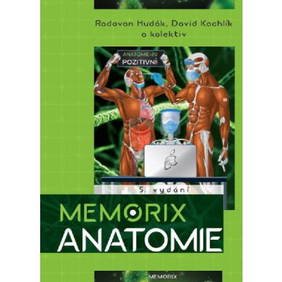 Memorix anatomie