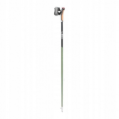 Hole Nordic Walking LEKI Flash Carbon 125cm