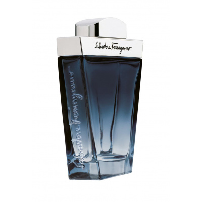 Salvatore Ferragamo Subtil Pour Homme 100 ml toaletní voda muž EDT