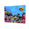 Ochranná deska mořský svět rybky, sasanka - 52x60cm / S lepením na zeď