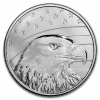 9Fine Mint Stříbrná mince Orel bělohlavý, vlajka a hlavní město (Bald Eagle) 1 Oz 2023