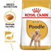 Royal Canin BHN POODLE Adult 7,5 kg