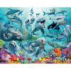46498 Walltastic dětská fototaopeta Under The Sea - pod hladinou - delfíni - korálové útesy velikost 244 cm x 305 cm + lepidlo zdarma
