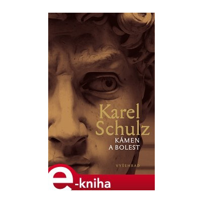 Kámen a bolest - Karel Schulz e-kniha