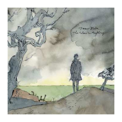 2LP James Blake: The Colour In Anything