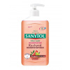 AC Marca Sanytol dezinfekční mýdlo do kuchyně - Grapefruit & Limetka 250 ml