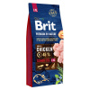 Brit Premium by Nature Senior L+XL - výhodné balení: 2 x 15 kg