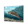 Ochranná deska ryba malovaný pstruh - 52x60cm / S lepením na zeď
