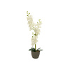 Umělá květina Orchidej v květináči - krémová, 80cm