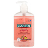 Sanytol dezinfekční mýdlo do kuchyně Grapefruit & Citrón, 250 ml
