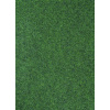 Koberce Breno Umělá tráva GREEN-VE 20 s nopy, šíře role 200 cm, Zelená