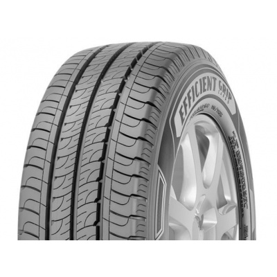 Pneumatiky GOODYEAR efficient grip cargo 205/75 R16 113R TL C 10PR, letní pneu, VAN