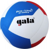 Volejbalový míč Gala Pro Line BV 5595 S