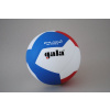 Volejbalový míč Gala Pro Line BV 5595 S HANDSHAKE
