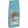 PURINA Dog Chow Puppy/Junior Lamb & Rice 14 kg