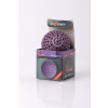 Ball Ricochet H2PRO purple