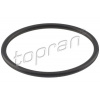 Těsnění, palivové čerpadlo TOPRAN 100 576