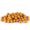 KH Boilies ekonomik krmné vařená kukuřice 2,5kg 24mm