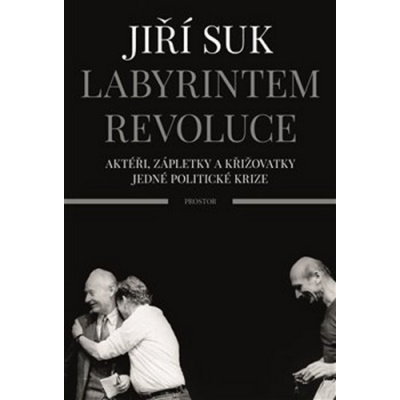 Labyrintem revoluce - Aktéři, zápletky a křižovatky jedné politické krize - Jiří Suk