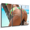 Obraz 3D třídílný - 105 x 70 cm - Outdoor Closeup of Fit buttocks. Fitness woman on a palm tree. Sexy Ass over exotic beach. Sporty concept. Summertime vacation. Venkovn