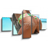 Obraz 5D pětidílný - 125 x 70 cm - Outdoor Closeup of Fit buttocks. Fitness woman on a palm tree. Sexy Ass over exotic beach. Sporty concept. Summertime vacation. Venkov