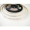 T-LED, LED pásek 24V-300-12W vnitřní záruka 3 roky, 12W/m, 24V, IP20 - Výběr varianty: Denní bílá