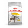 Royal Canin Dermacomfort Maxi 3 kg - granule pro dospělé psy, velká plemena s citlivou kůží