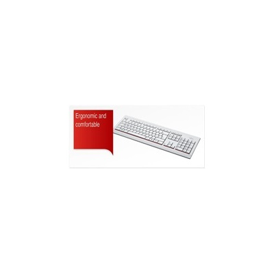 Fujitsu KB521 USB CZ US (S26381-K521-L134)