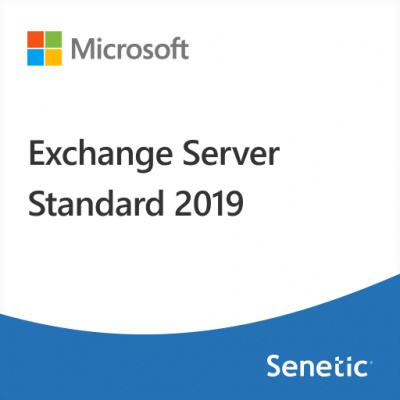 Microsoft Exchange Server Standard 2019 User CAL (DG7GMGF0F4MB-0004)