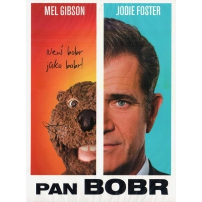 Pan Bobr DVD