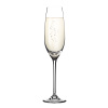 TESCOMA Uno Vino Sommelier 210 ml 6 ks - sklenice na šampaňské