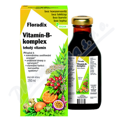 Salus Floradix Vitamin-B-komplex 250ml