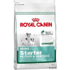 Royal Canin Mini Starter 8,5kg