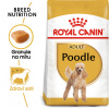 ROYAL CANIN Poodle Adult granule pro dospělého pudla Hmotnost (g/kg): 7,5kg granule pro dospělého pudla