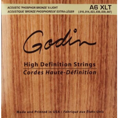Godin Strings Acoustic Guitar XLT + prodloužená záruka 3 roky