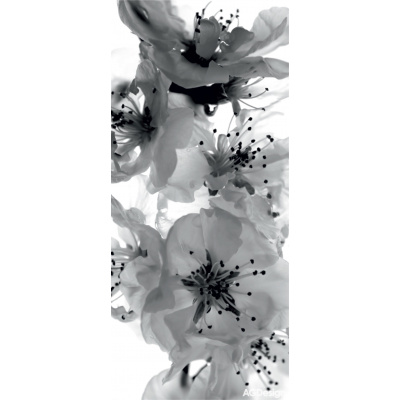 AG Design, Fototapeta na zeď FTN V 2863, Černobílá květina, 90 x 202 cm