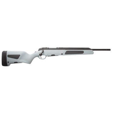 ASG Steyr Scout Grey