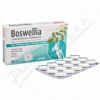 FAVEA Boswellia s chondroitinem a kolagenem tbl.30