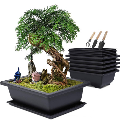 bonsai miska – Heureka.cz