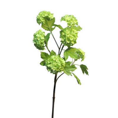 Umělá květina Kalina obecná - Viburnum 'Roseum' x6, zelená 60cm