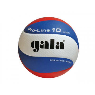 Míč volejbal Gala Pro-line 10 BV5581S