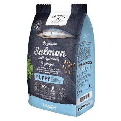 Go Native Puppy Salmon with Spinach and Ginger 800g