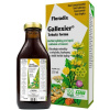 Salus Floradix Gallexier 250ml